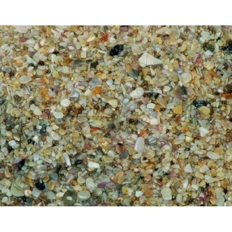 Akvaryum Kumu Midye Kırığı 3 kg